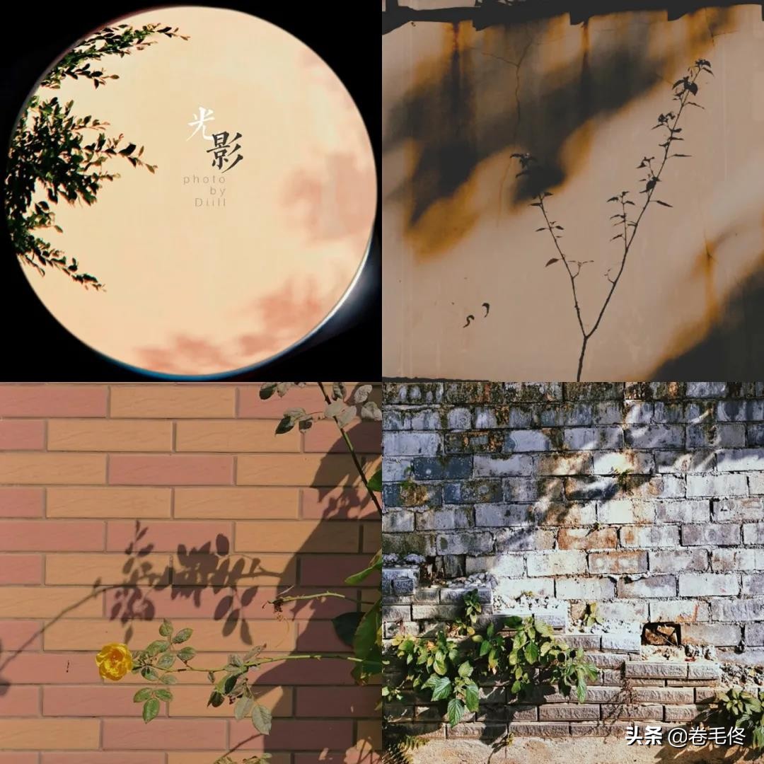 手机拍大片人像,如何拍手机照片最好看