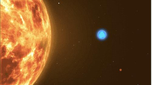 金宝贝早教艺术节,金宝贝艺术节