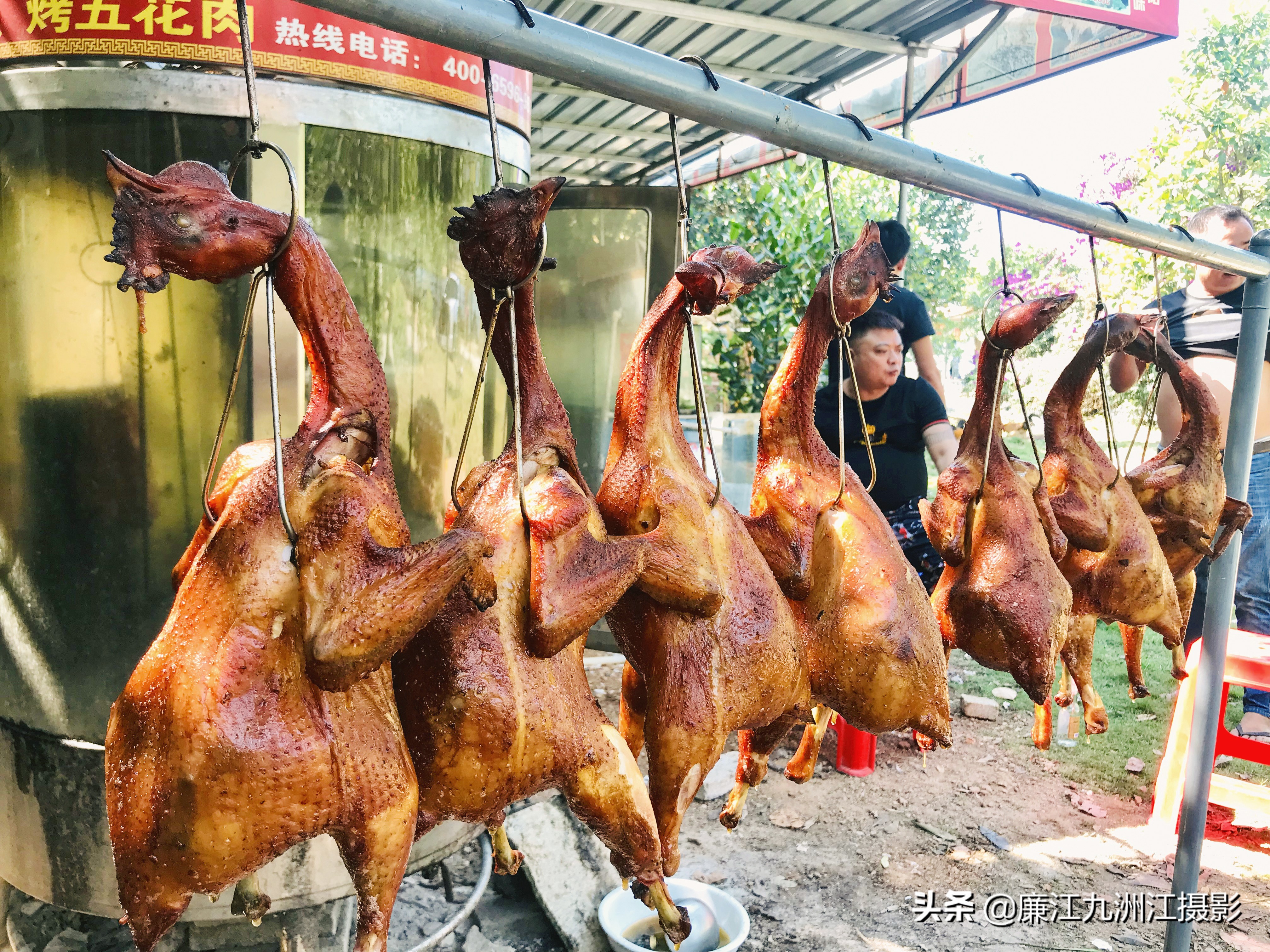 湛江市廉江荔枝节开幕式视频,廉江荔枝文化节