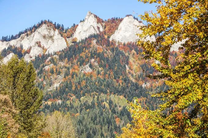 波兰记游记,波兰旅游攻略游记