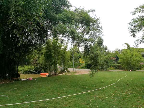 南宁隐藏的景点,南宁周边农家乐游玩景点推荐