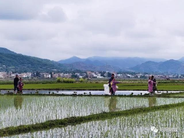 在希望的田野上高清图片,在希望的田野上的视频