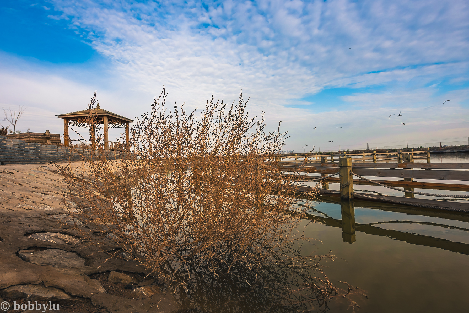 暮秋时节游曹妃甸、体验十里海网红民宿，感受渔村美食与文化