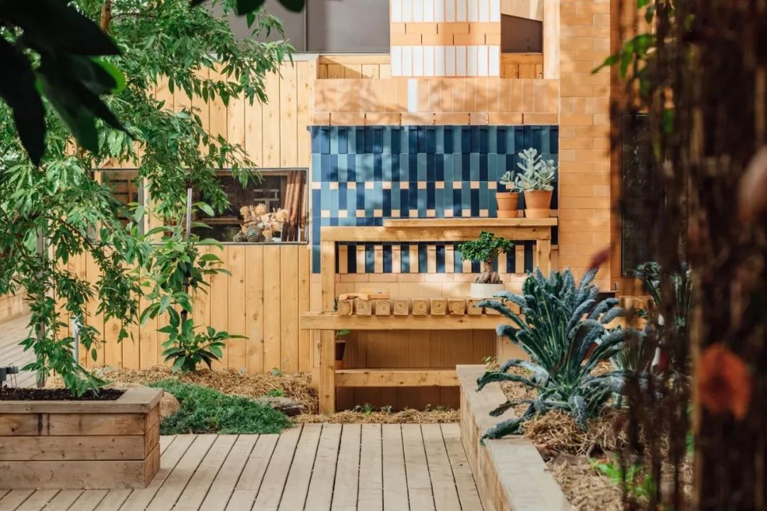 森林屋设计,森林屋建造