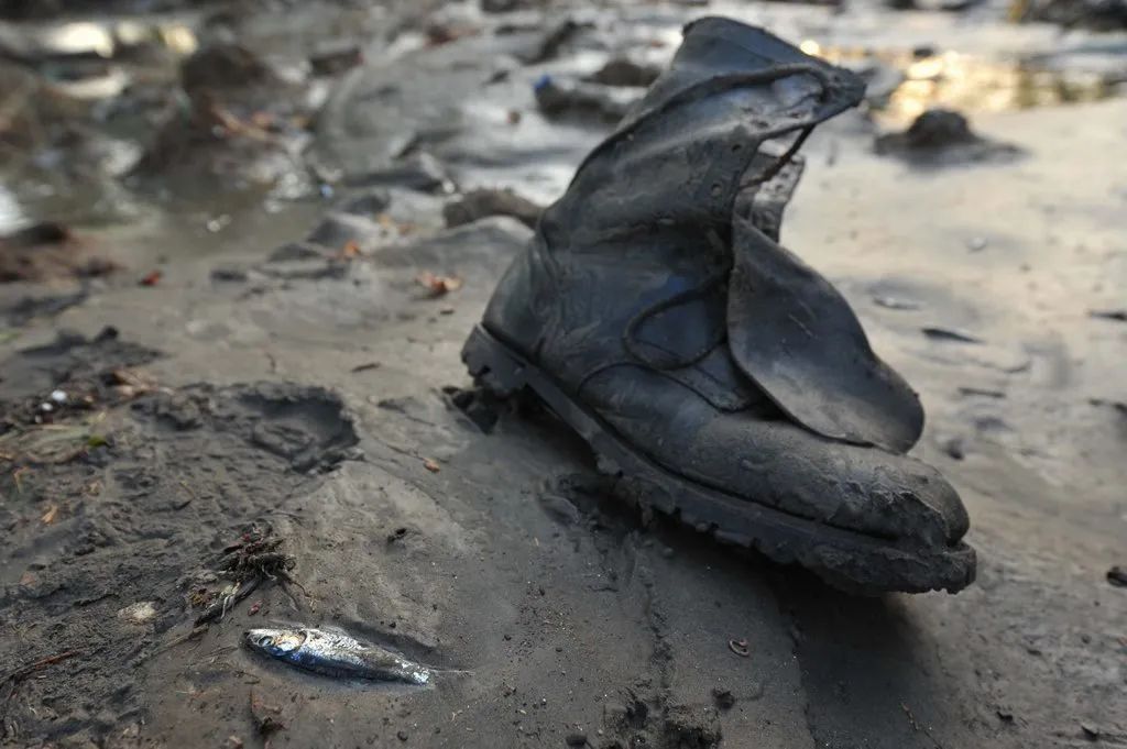 京东跟东哥,京东东哥回来了吗