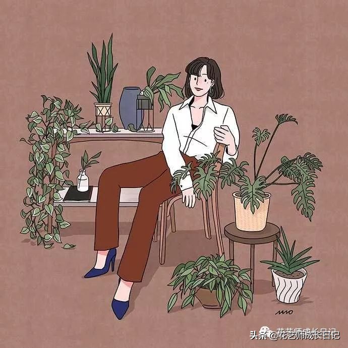10种在花镜设计中常用的紫色花卉,南方适合做花境的花卉种类