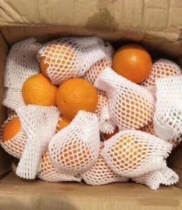 最近代购圈出了什么事,今年代购圈都有什么