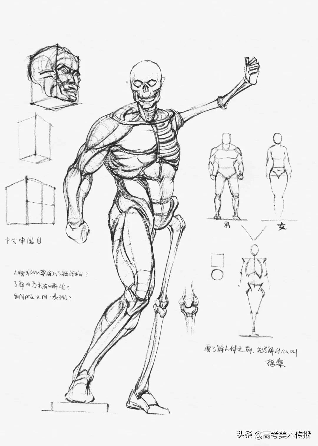 速写五官技法,速写五官的画法精讲