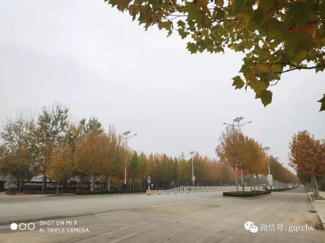 国庆节人才推介2019,国庆节人才需求