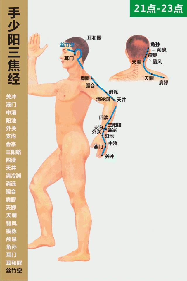 最全经络高清动图所有穴位,最全经络高清动图