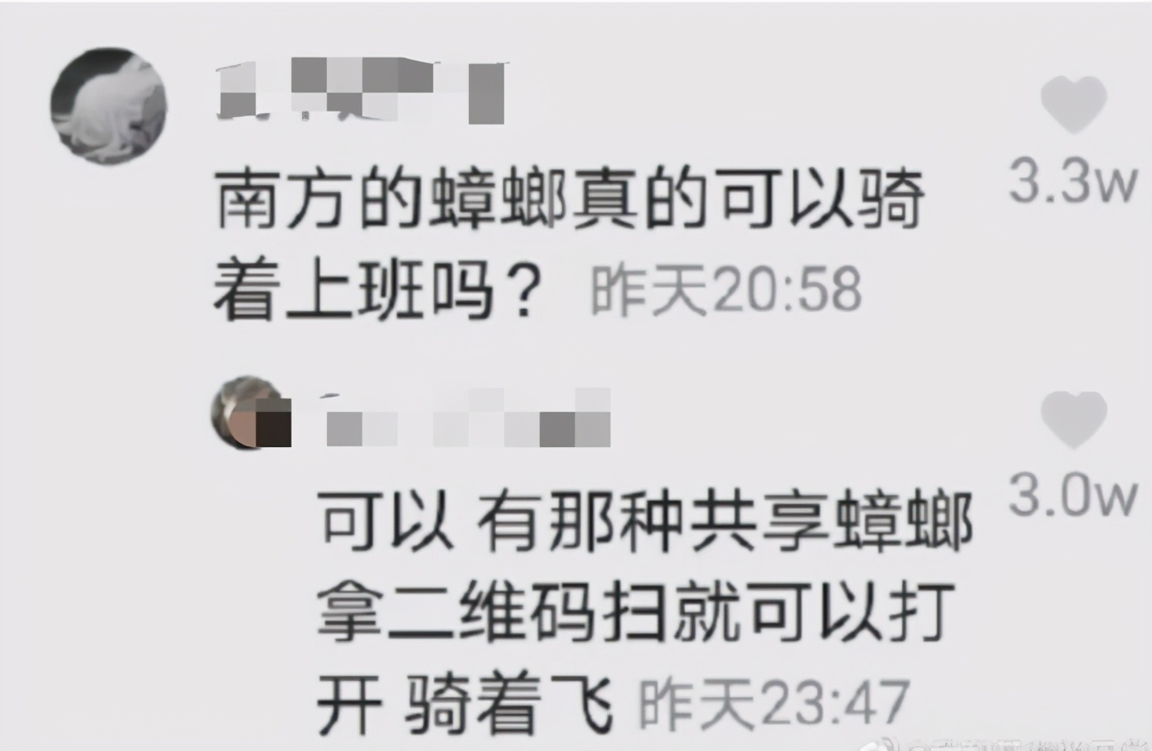 南方蟑螂和北方蟑螂对比恶搞,南方大蟑螂吓哭北方人