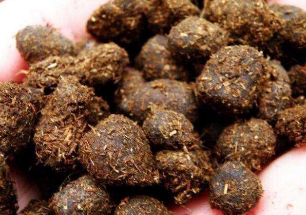 不换盆也能改善土壤,土壤板结不用怕一招解决