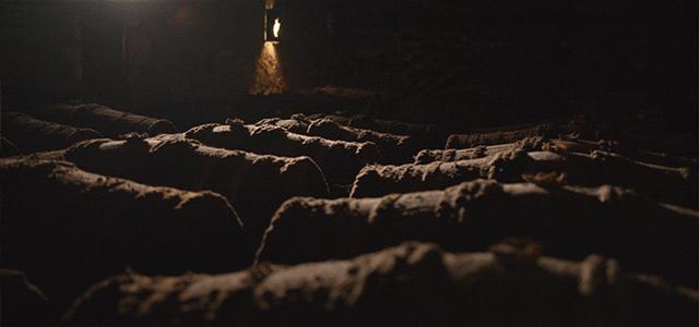 2012年的路易十三洋酒价格,咨询路易十三洋酒多少钱一瓶