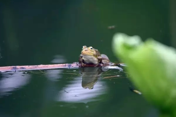 芒种种出新希望,芒种和幸福播种