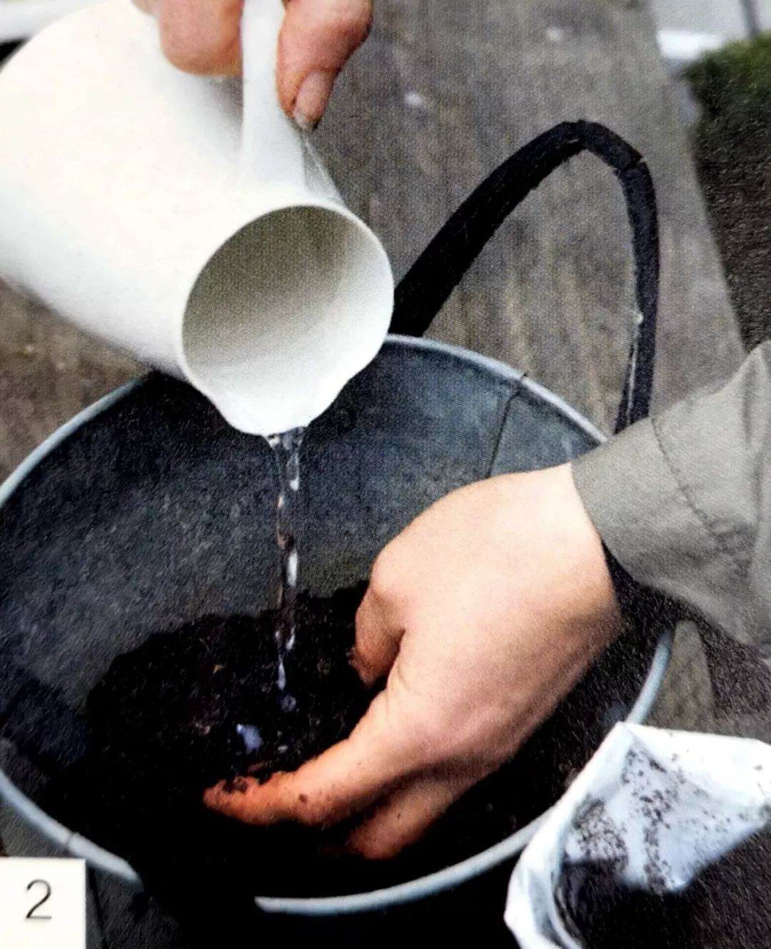 适合做苔玉的苔藓有哪些,适合做苔玉的苔藓