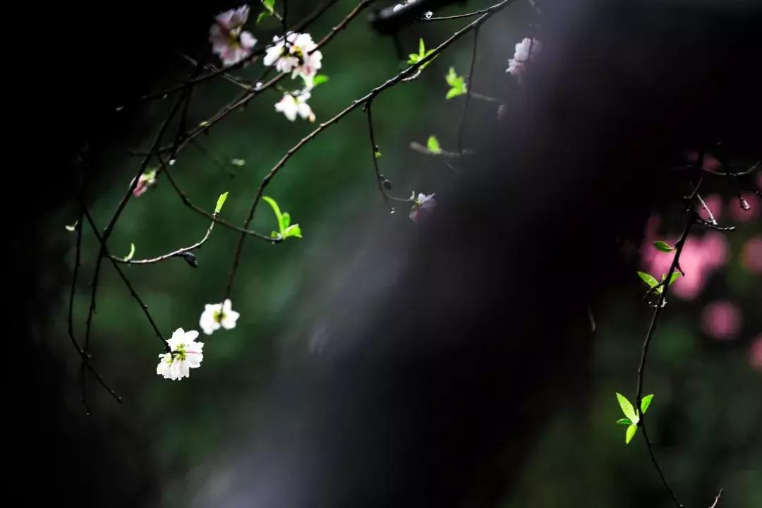 对焦难题怎么解决,对焦难题的解决办法