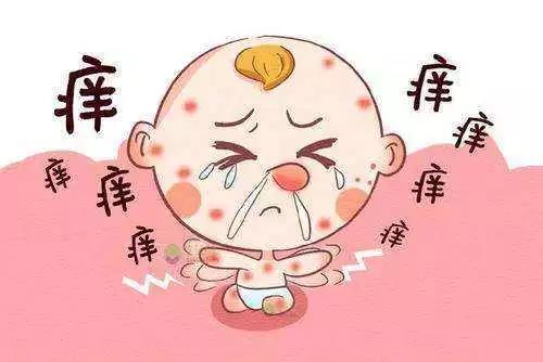 舌尖上的安全视频5,舌尖上的安全内容