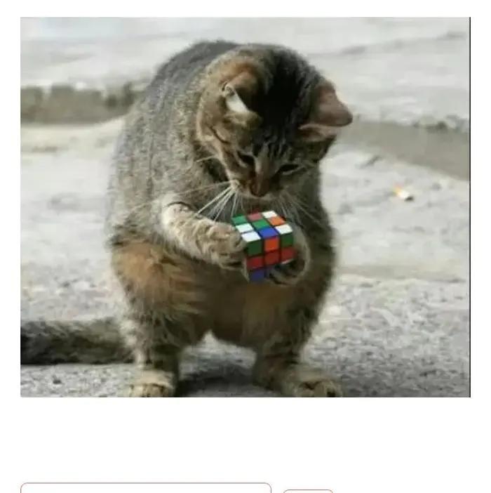 《简书诗词大会》第一百一十六期（腊八节专刋）