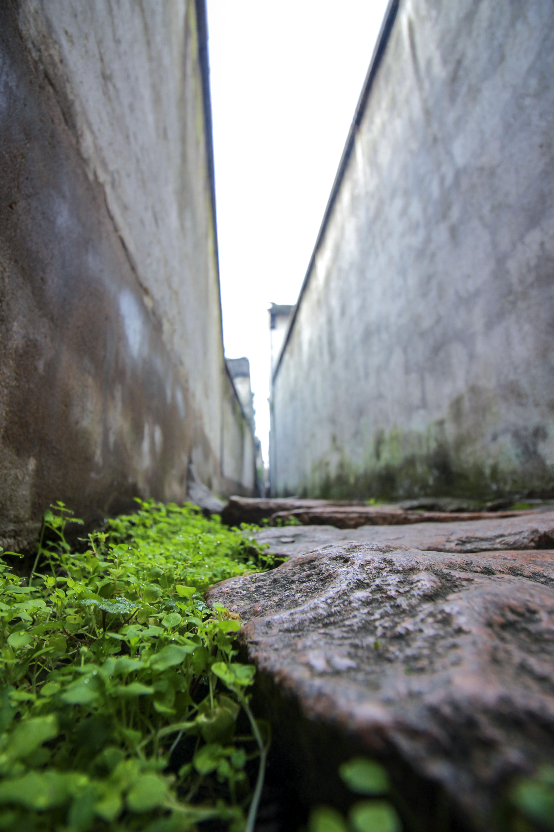 苏州值得去的古镇老街,苏州的千年古镇被誉为六大古镇