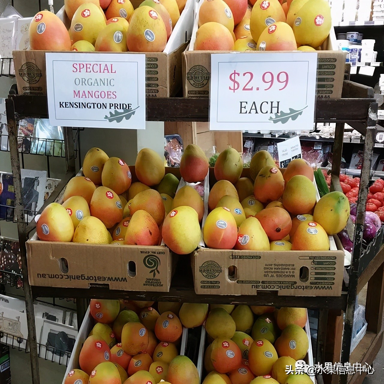 最近卖的比较火的水果店,最近新出来的水果店