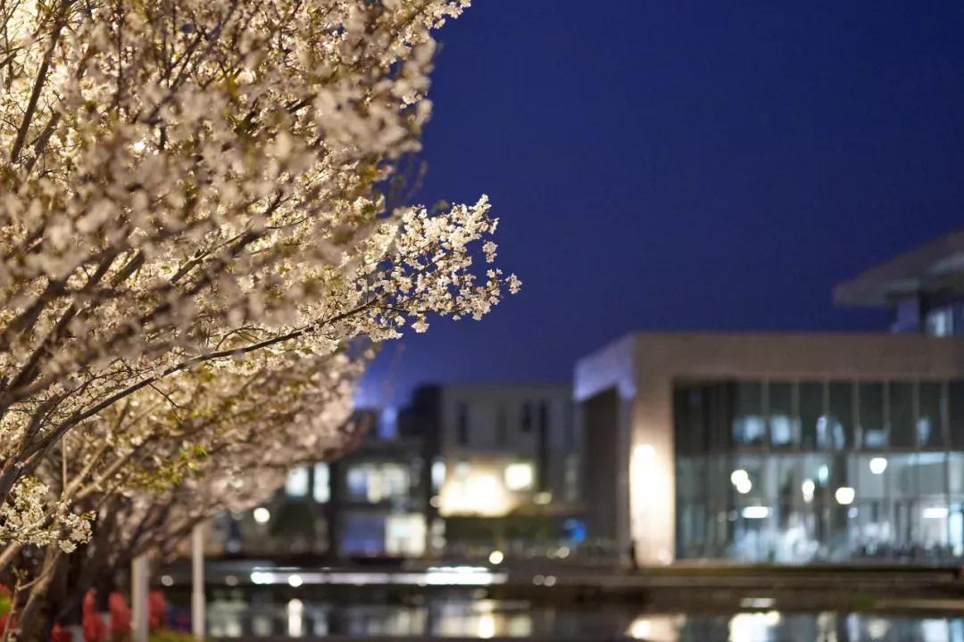 江苏昆山杜克大学图片,昆山杜克大学堪比985