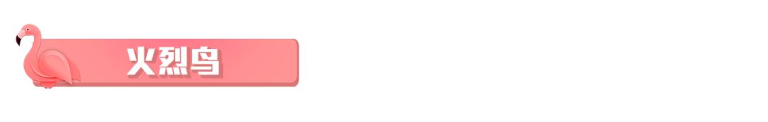 长隆飞鸟乐园长隆熊猫酒店怎么选,周一长隆野生动物园游玩攻略