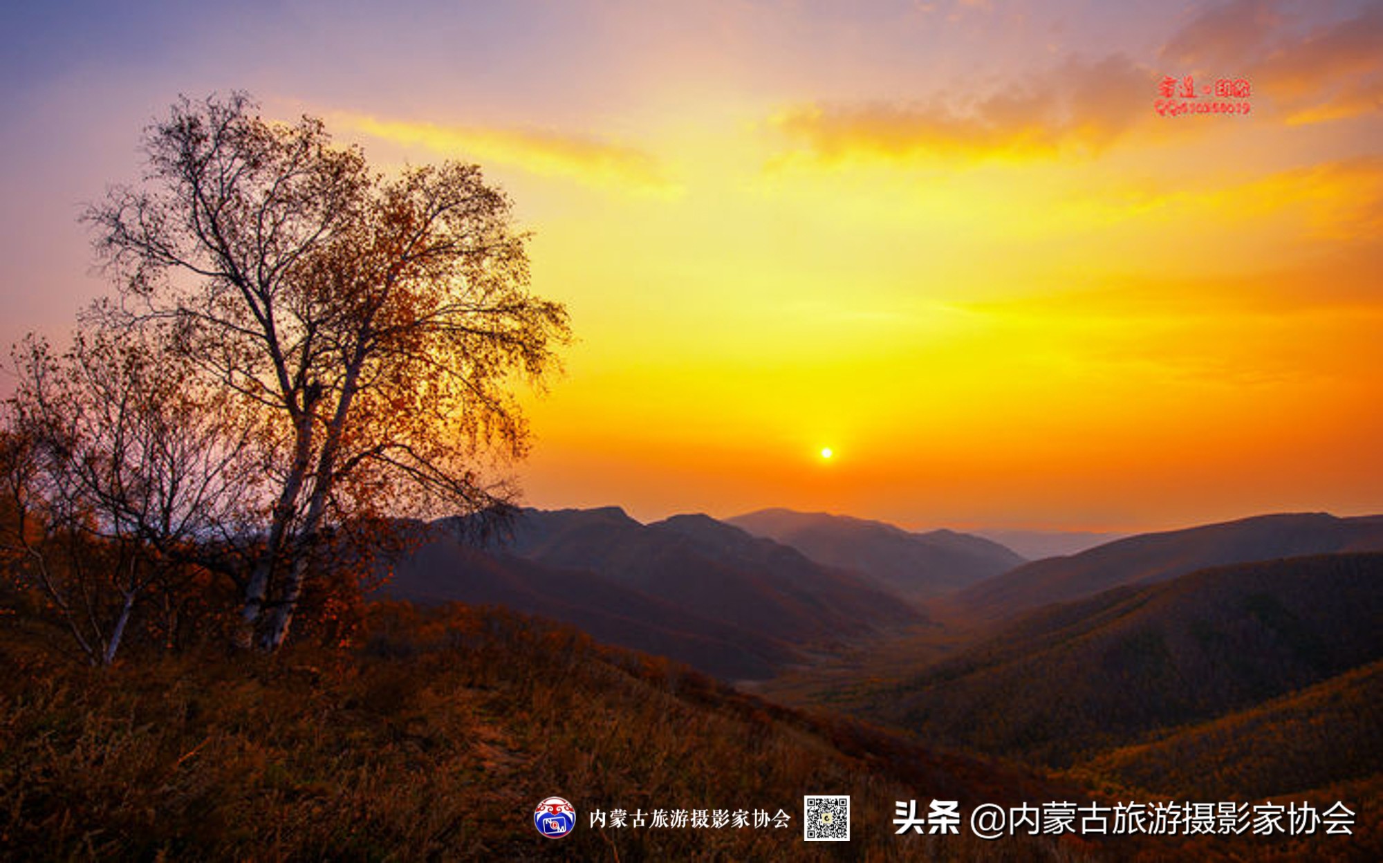 那山那水那滋味,那山那水那份爱