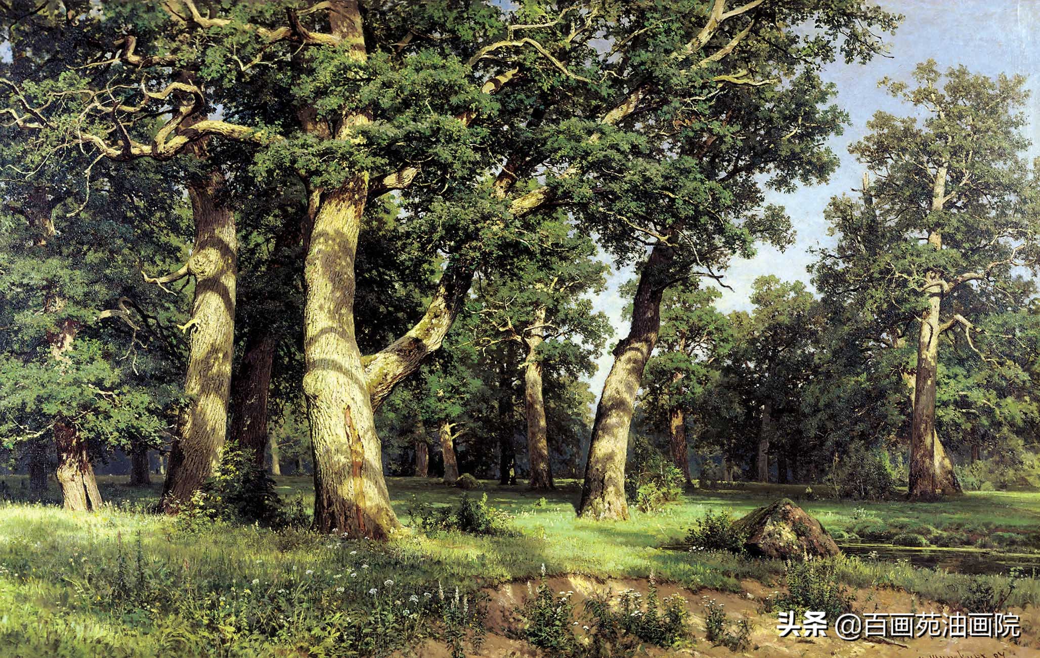 简单油画初学者画树,油画画树叶丛的技巧