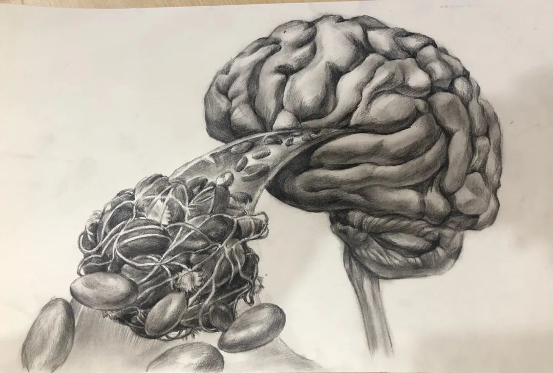 生命的故事绘本电子版,生命的故事图片