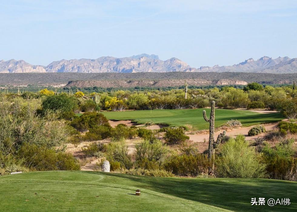 美国圆石滩高尔夫球场,美国高尔夫球场数量