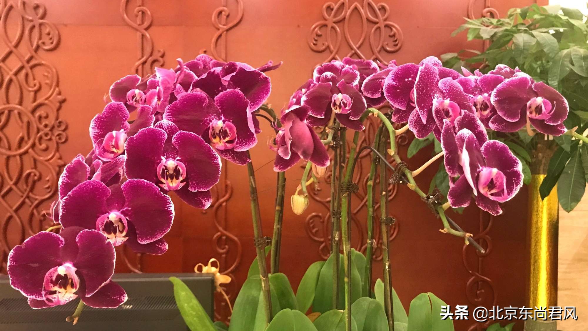 北京的特点蒙古餐厅,去不了大草原就来感受一下蒙餐