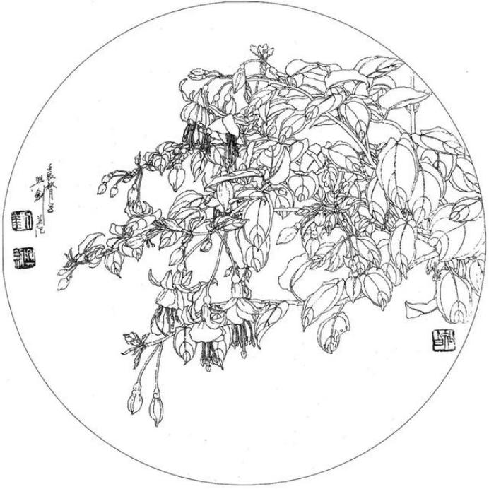 圆面白描作品古风,书法圆面白描作品集