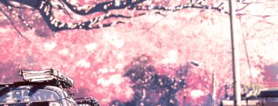 日本的国花是不是樱花,樱花是日本国花