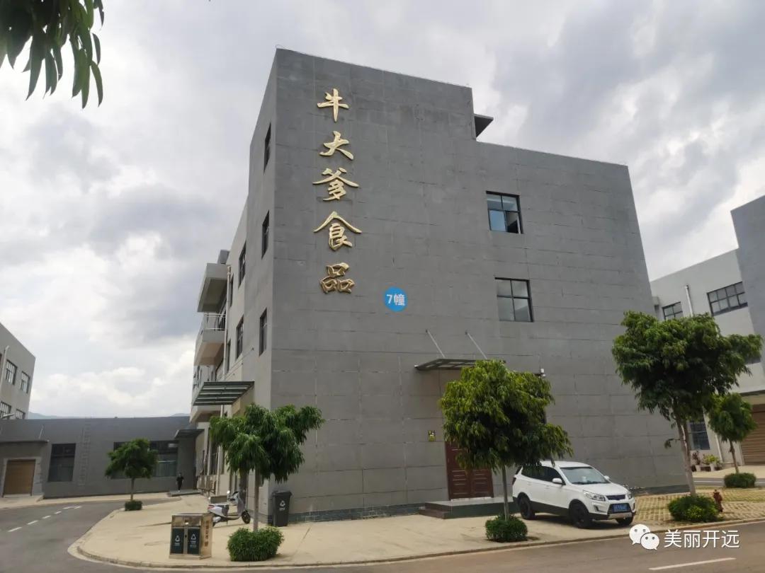 开远金凤凰,开远凤凰腾飞