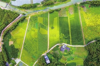 柘荣发展规划,柘荣乡村旅游发展