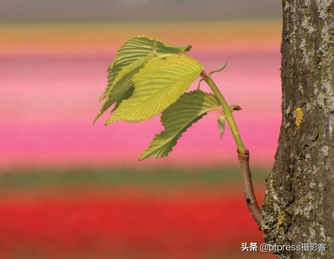 光圈值越大光圈越大正确还是错误,相机光圈与镜头光圈的关系