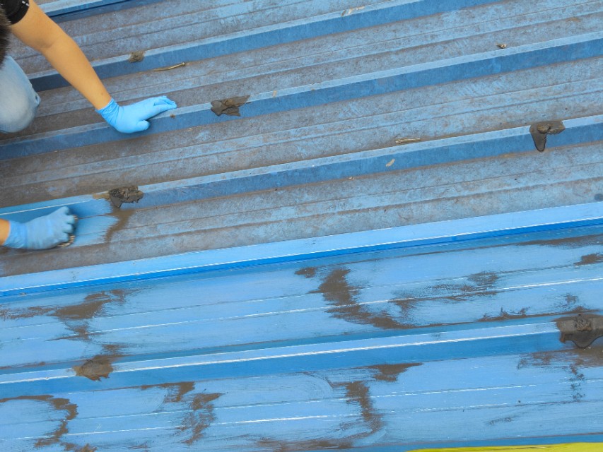 屋顶铁皮漏水,铁皮屋顶漏水修补方法叫什么