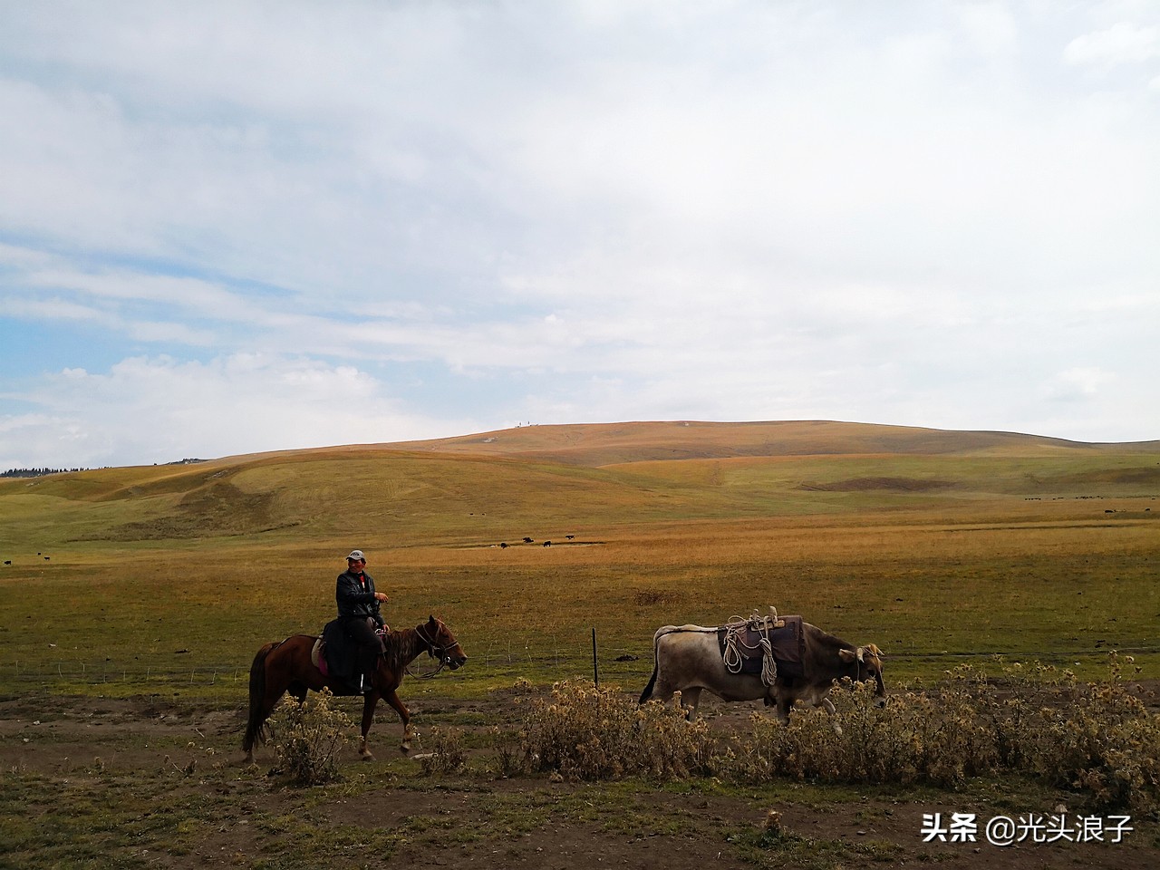 世界自然遗产地喀拉峻大草原,来新疆感受大自然的喀拉峻大草原