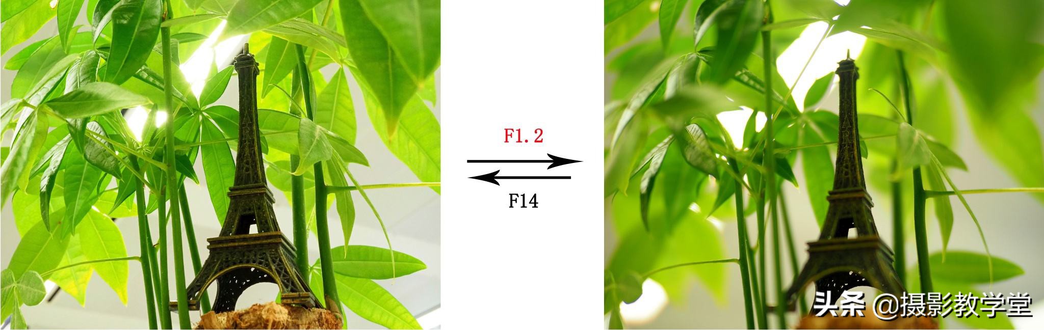 关于摄影的基础知识景深,摄影基础知识入门光圈