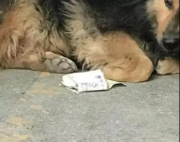 这是什么情况啊搞笑图片,这种情况持续多久了搞笑图片