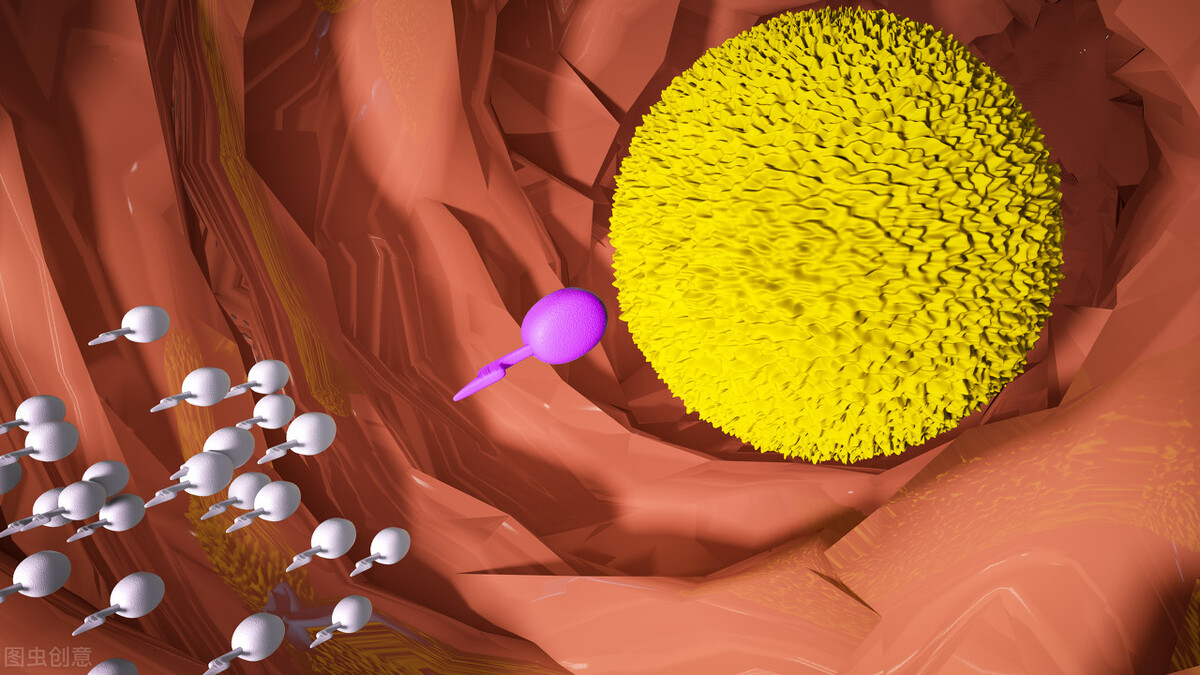 蛇性本淫什么意思,蛇性本淫的意思