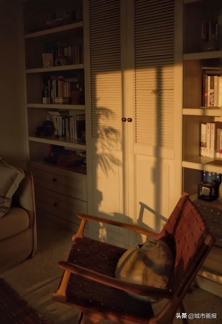 switch动森里的家,动森里的switch