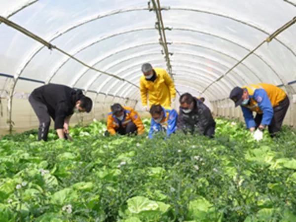 閾佽矾鐗╄祫鏀彺姝︽眽,鍏ㄥ浗楂橀搧鏀彺姝︽眽鐗╄祫