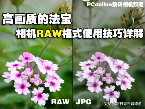 cameraraw曲线详解教程,鹏凰视界cameraraw系列教程