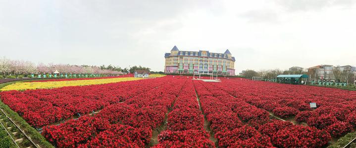 广州5a级景区推荐,广州国家aaaaa级旅游景区名单查询