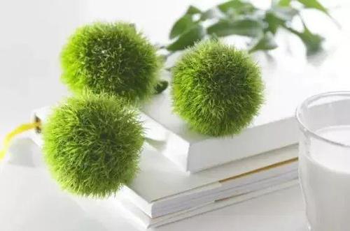 花艺插花常见花名有哪些,鲜花插花的技巧有哪些