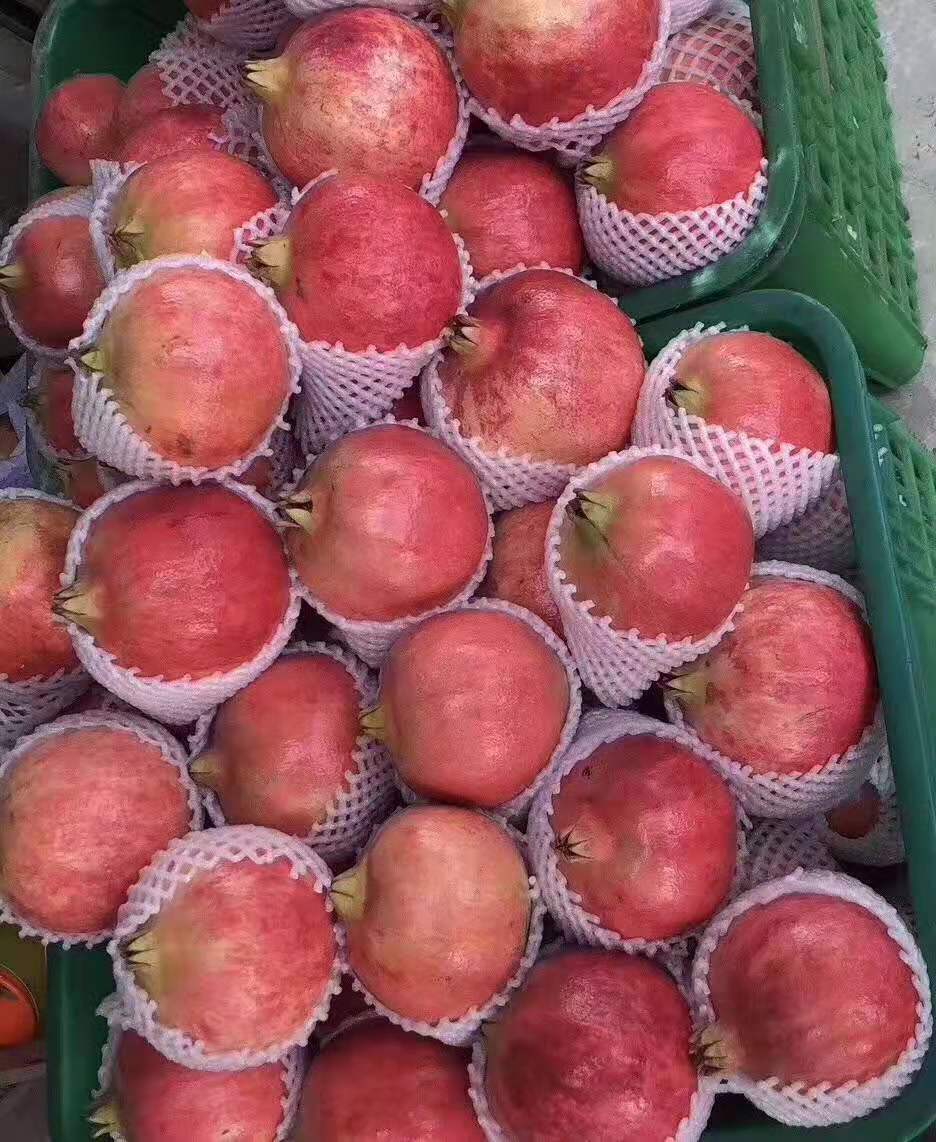 浼氱悊鐭虫Υ涓婂競鐨勫鑺傛槸鍑犳湀,浼氱悊鐭虫Υ涓婂競鏃ユ湡