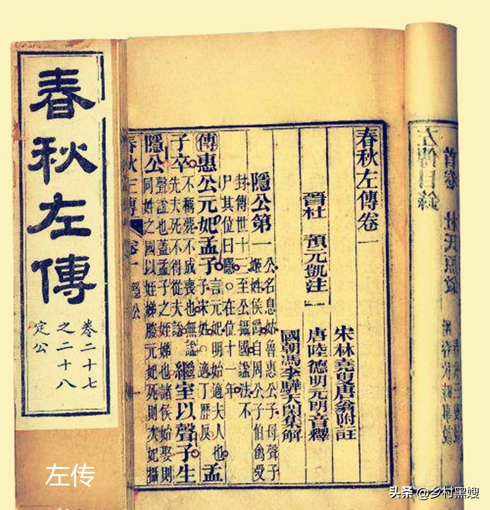 空谷幽兰的兰花是什么品种,蝴蝶兰空谷幽兰