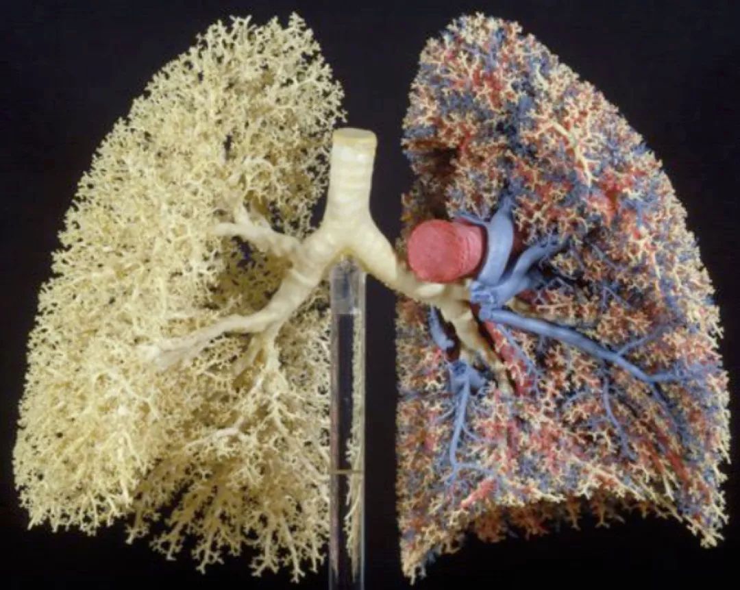 科学家找到6个神奇的数字,科学家找到6个神奇数字