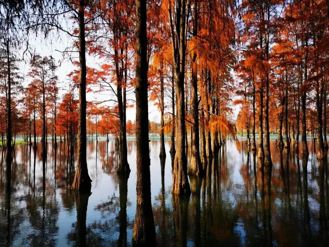 国内小众拍照胜地排名,文艺气息满溢的拍照圣地